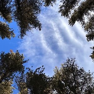 Meet your Posher, Georgia